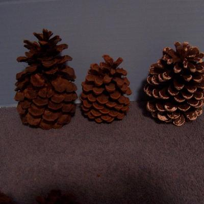 LOT 12 PINE CONES