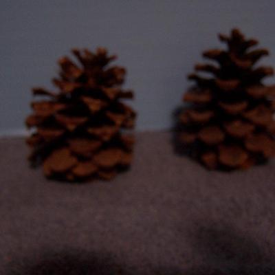 LOT 12 PINE CONES