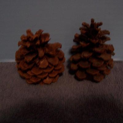 LOT 12 PINE CONES