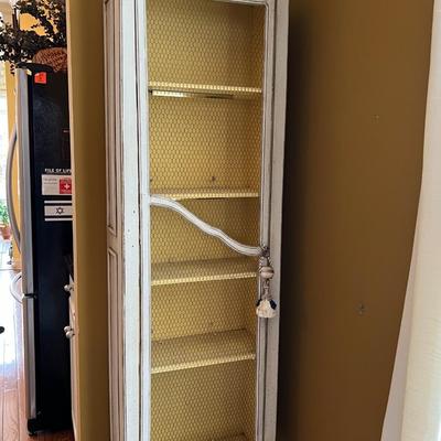 Mounted Wall Cabinet