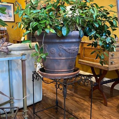 Live Plant w/ Large Pot and Metal Stand