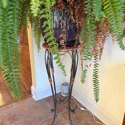 Live Fern with Plant Stand
