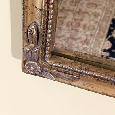 Large Designer Carved Beveled Mirror 24x42