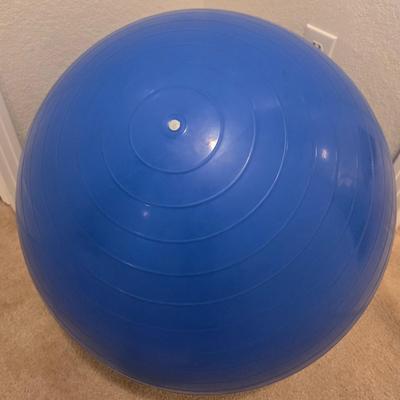 Exercise Ball