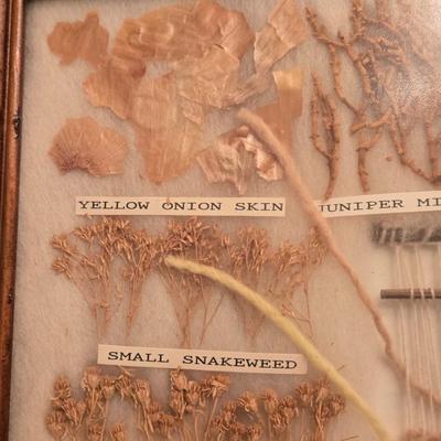 Navajo Dye Chart Artwork