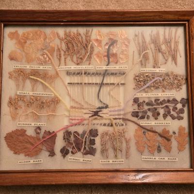 Navajo Dye Chart Artwork