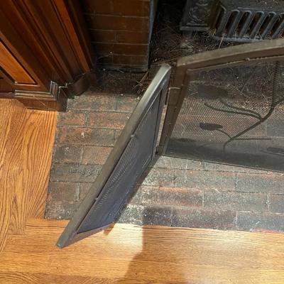Fireplace Screen (LR-MG)