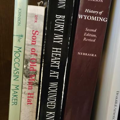 Books on Native American Experiences