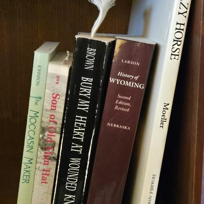 Books on Native American Experiences