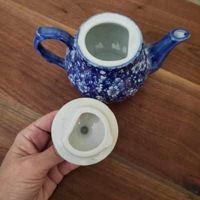 Blue & White Floral Two Person Tea Set (D-KD)
