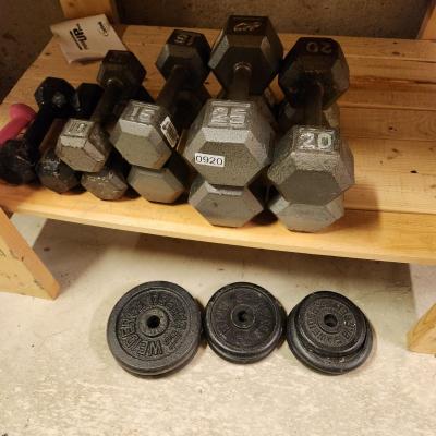 Lot of Dumbbells and Weider Barbell Weights 10,15,20,25