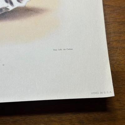 LOT 127: Vintage Costume Prints of French Fashion of the 16th & 18th Century, Framed Betty Bonnet's College Sister Paper Dolls...