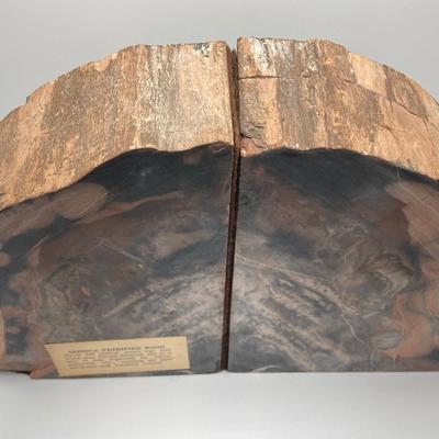 LOT 181: Gorgeous Arizona Petrified Wood Book Ends