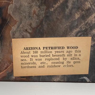 LOT 181: Gorgeous Arizona Petrified Wood Book Ends