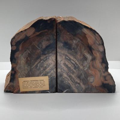 LOT 181: Gorgeous Arizona Petrified Wood Book Ends