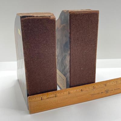 LOT 181: Gorgeous Arizona Petrified Wood Book Ends