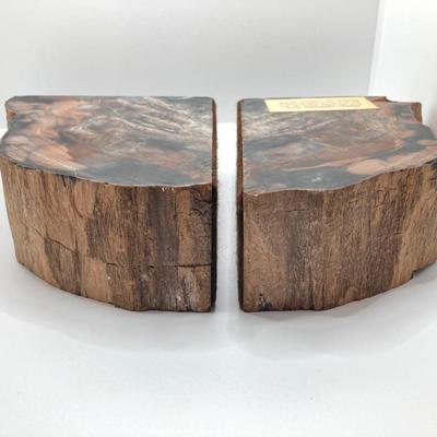 LOT 181: Gorgeous Arizona Petrified Wood Book Ends