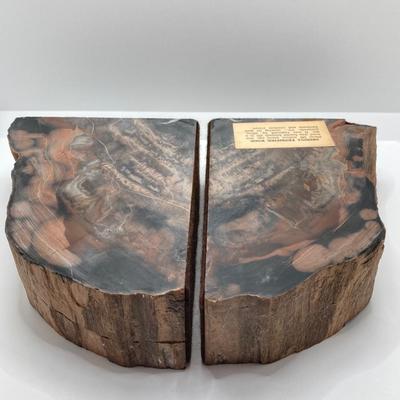LOT 181: Gorgeous Arizona Petrified Wood Book Ends