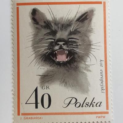 1964 Cat Stamp - Poland