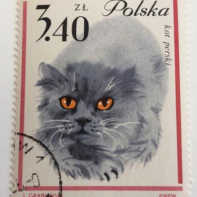 1964 Cat Stamp - Poland
