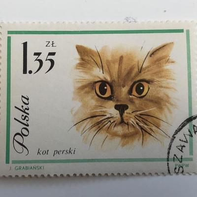 1964 Cat Stamp - Poland