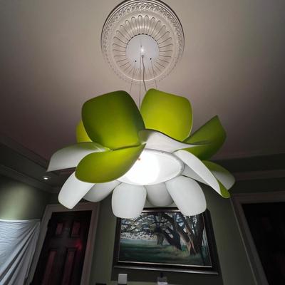 Infiore Modern Pendant Ceiling Light (DR-RG)