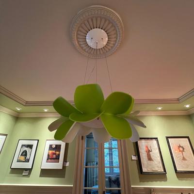 Infiore Modern Pendant Ceiling Light (DR-RG)