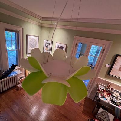Infiore Modern Pendant Ceiling Light (DR-RG)