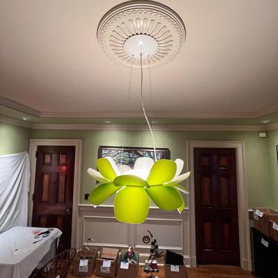 Infiore Modern Pendant Ceiling Light (DR-RG)