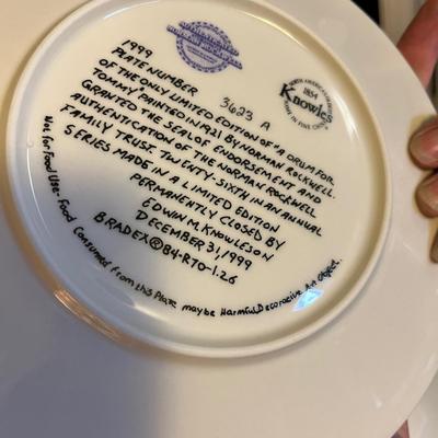 Lot 12 Christmas Collectors plates