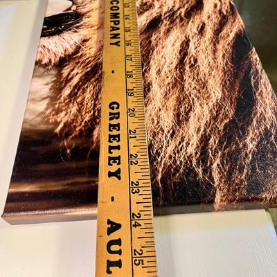 Lot 18 Lion print on canvas