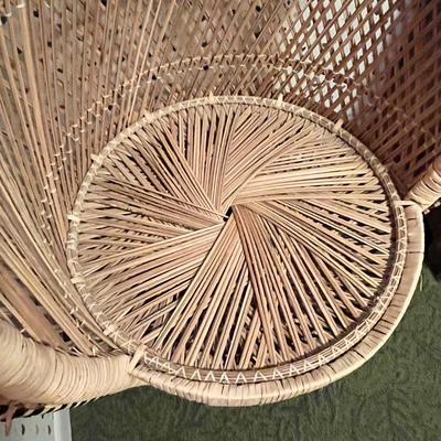 Lot 25 Peacock Chair