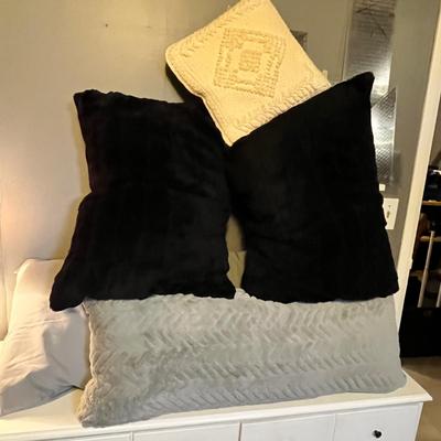 Lot 36 Pillows