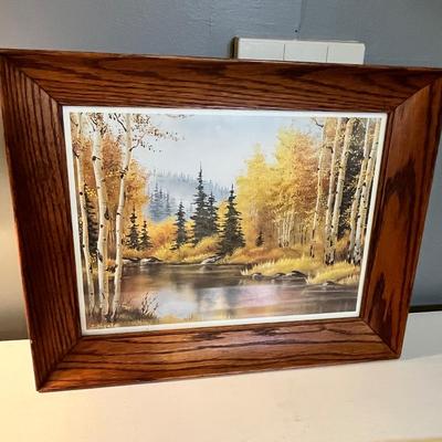 Lot 64 Forest picture