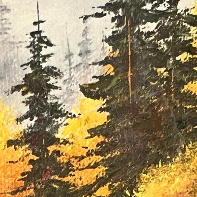 Lot 64 Forest picture