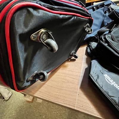 Lot 113 Bags for travel