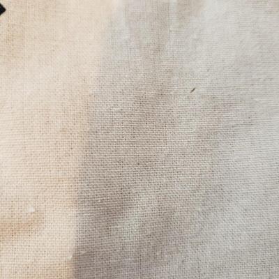Local Asheville T-shirts and Bags: Mothlight, Goombay, Drum Circle, & More (B2-KD)