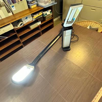 Lot 173 Natural light lamps