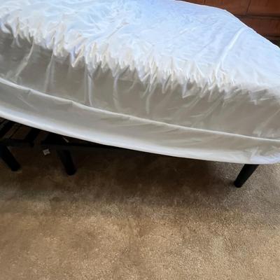 Lot 198 Adjustable Bed Queen