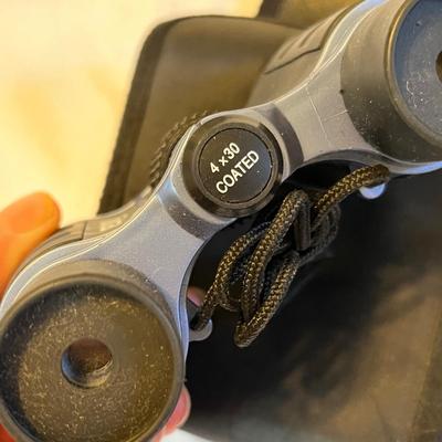 Lot 202 Binoculars