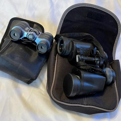Lot 202 Binoculars