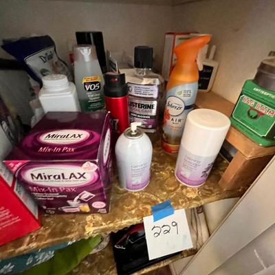 Lot 229 Closet full