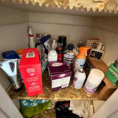 Lot 229 Closet full