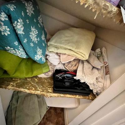 Lot 229 Closet full