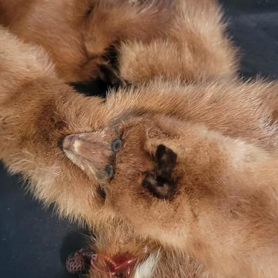 Vintage Beaded Whimsey with mink