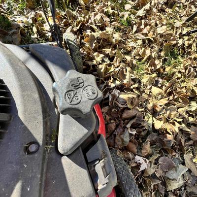 Lot 304 Yard Machine Lawn Mower