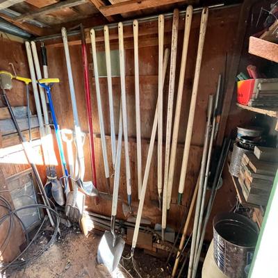 Lot 307 Garden shed contents #2