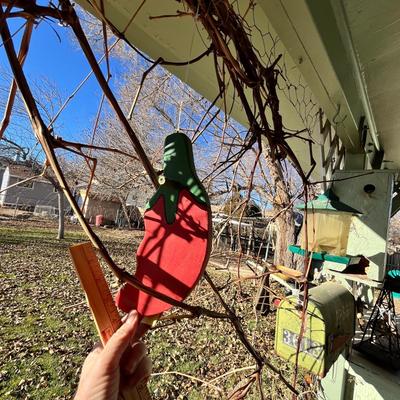 Lot 313 Outdoor decor