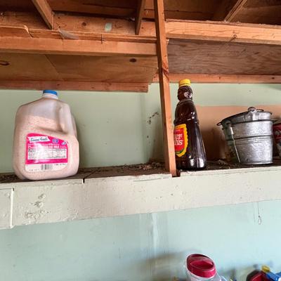 Shelves of Cleaners & other