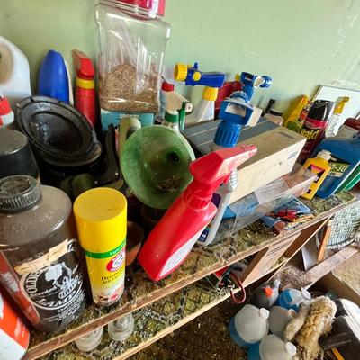 Shelves of Cleaners & other